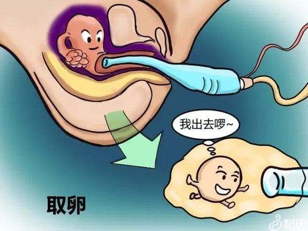 2024新生儿医疗保险缴纳标准是一年多少钱